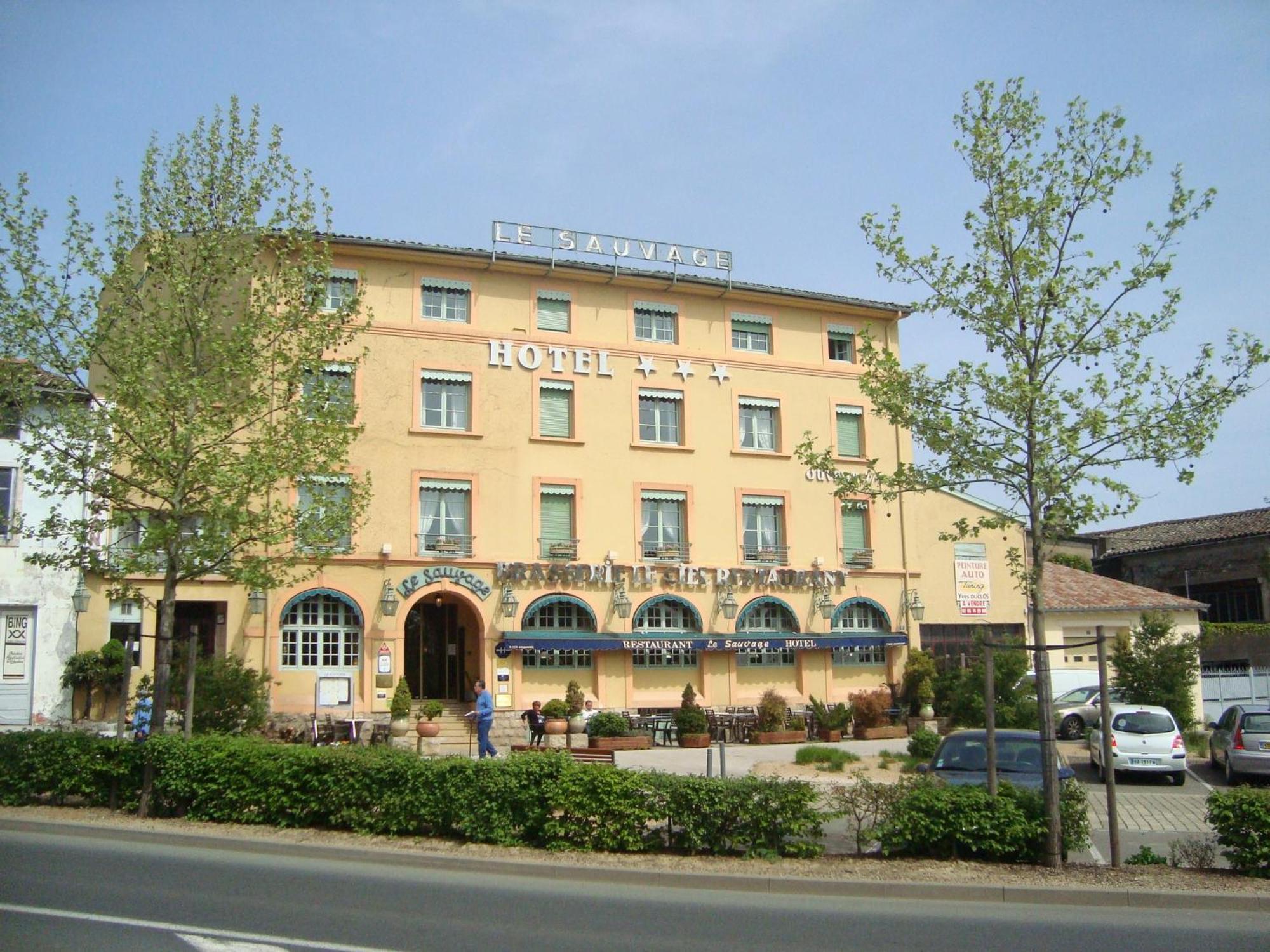 Hotel Le Sauvage Tournus Bagian luar foto